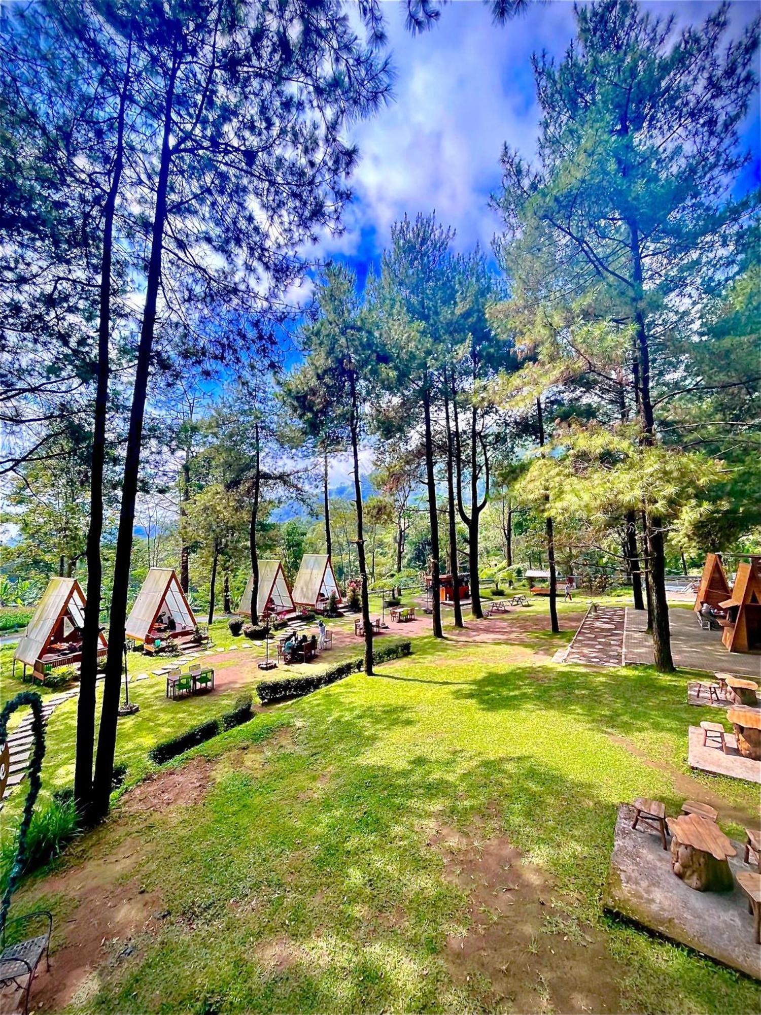 Grand Whiz Hotel Bromo Ngoại thất bức ảnh